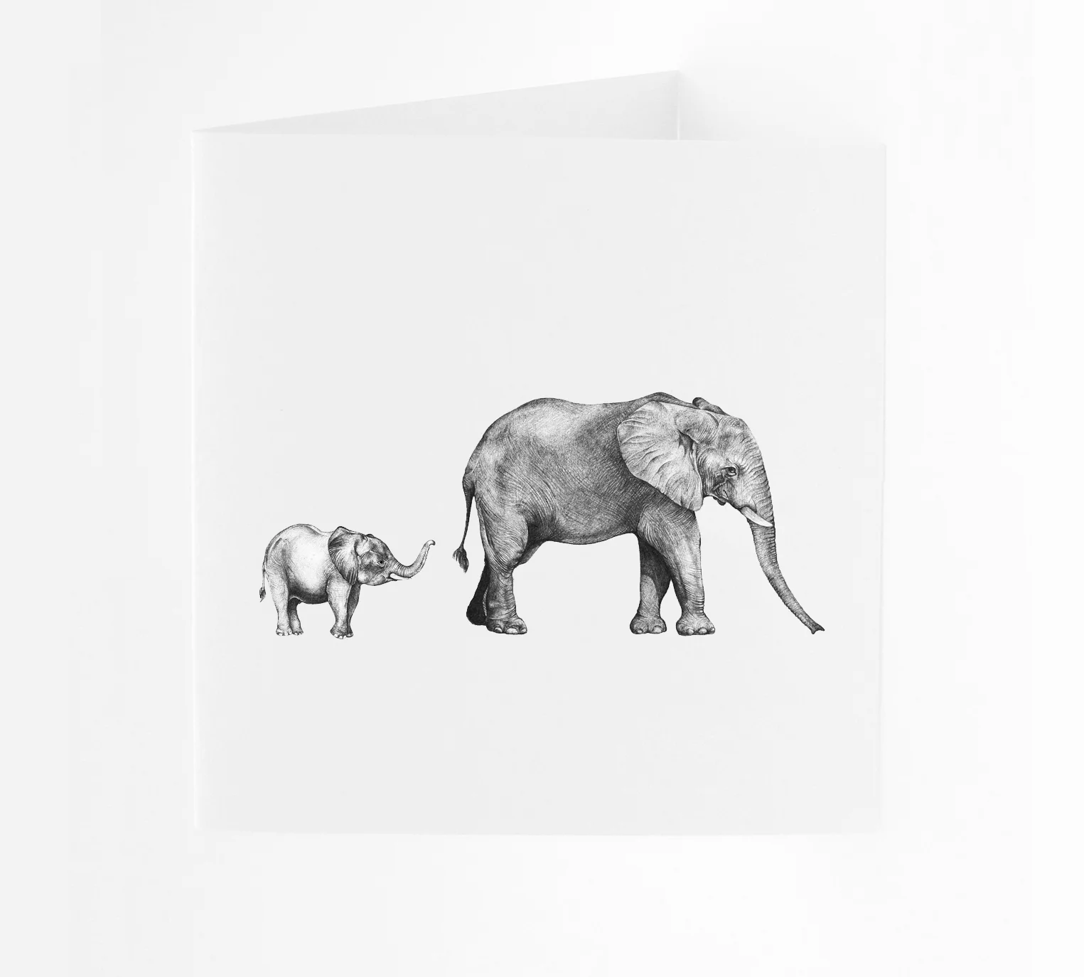 LaleGuralp_SQ_EleBaby_Card.jpg