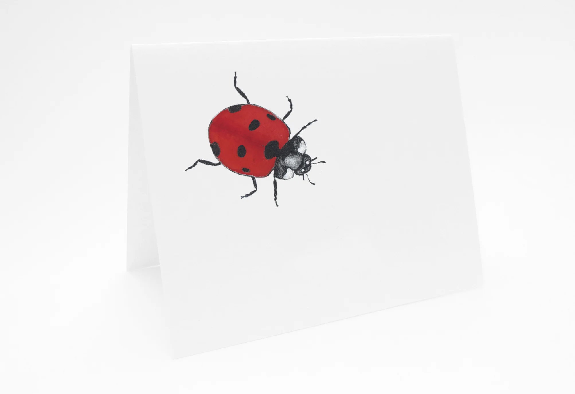 SM_LadybirdColourCard.jpg