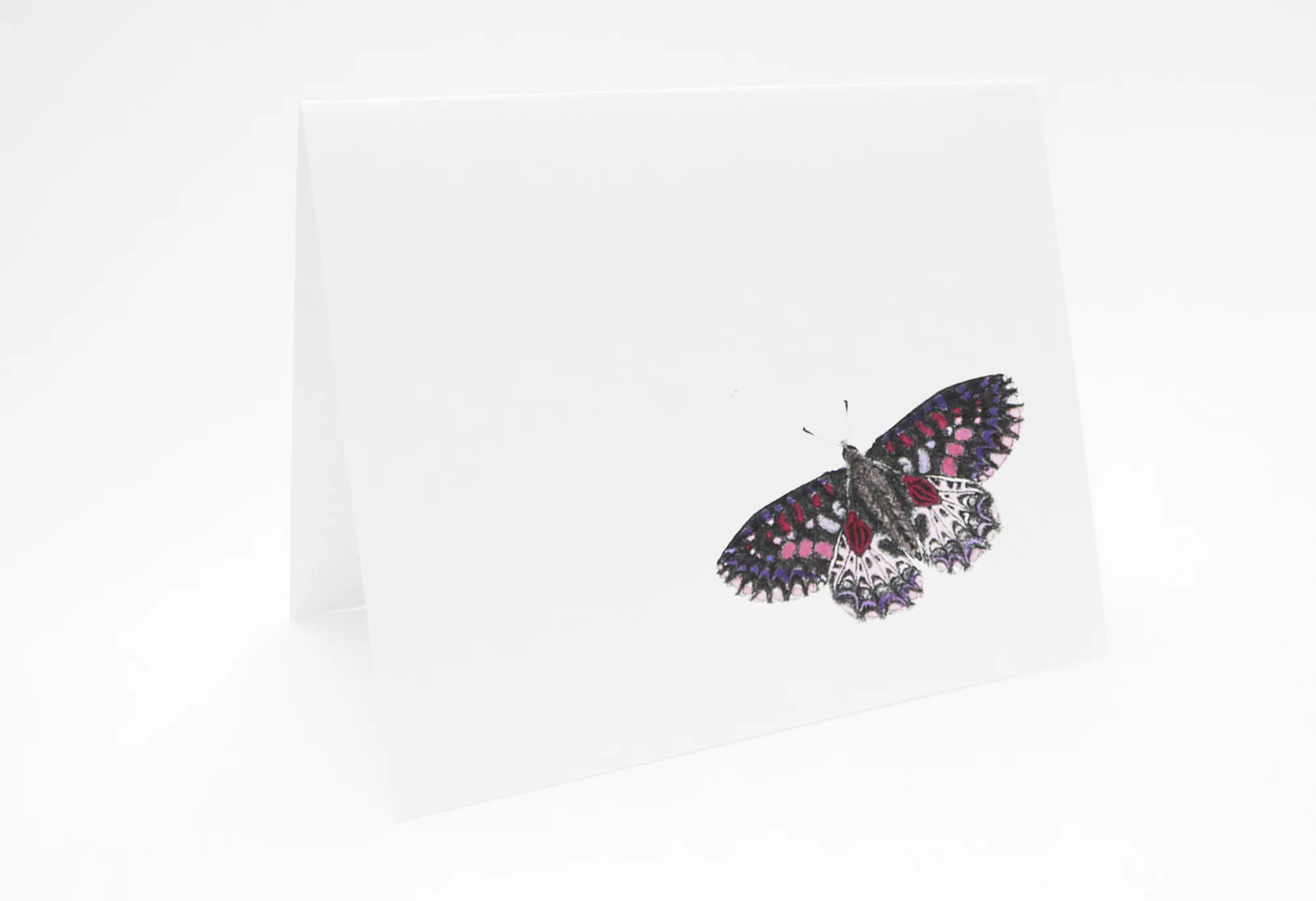 SM_ButterflyColourCard_.jpg
