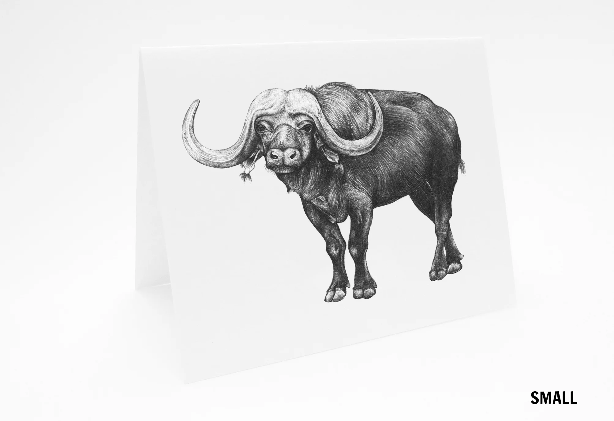 LaleGuralp_SM_L_Buffalo_Card.jpg