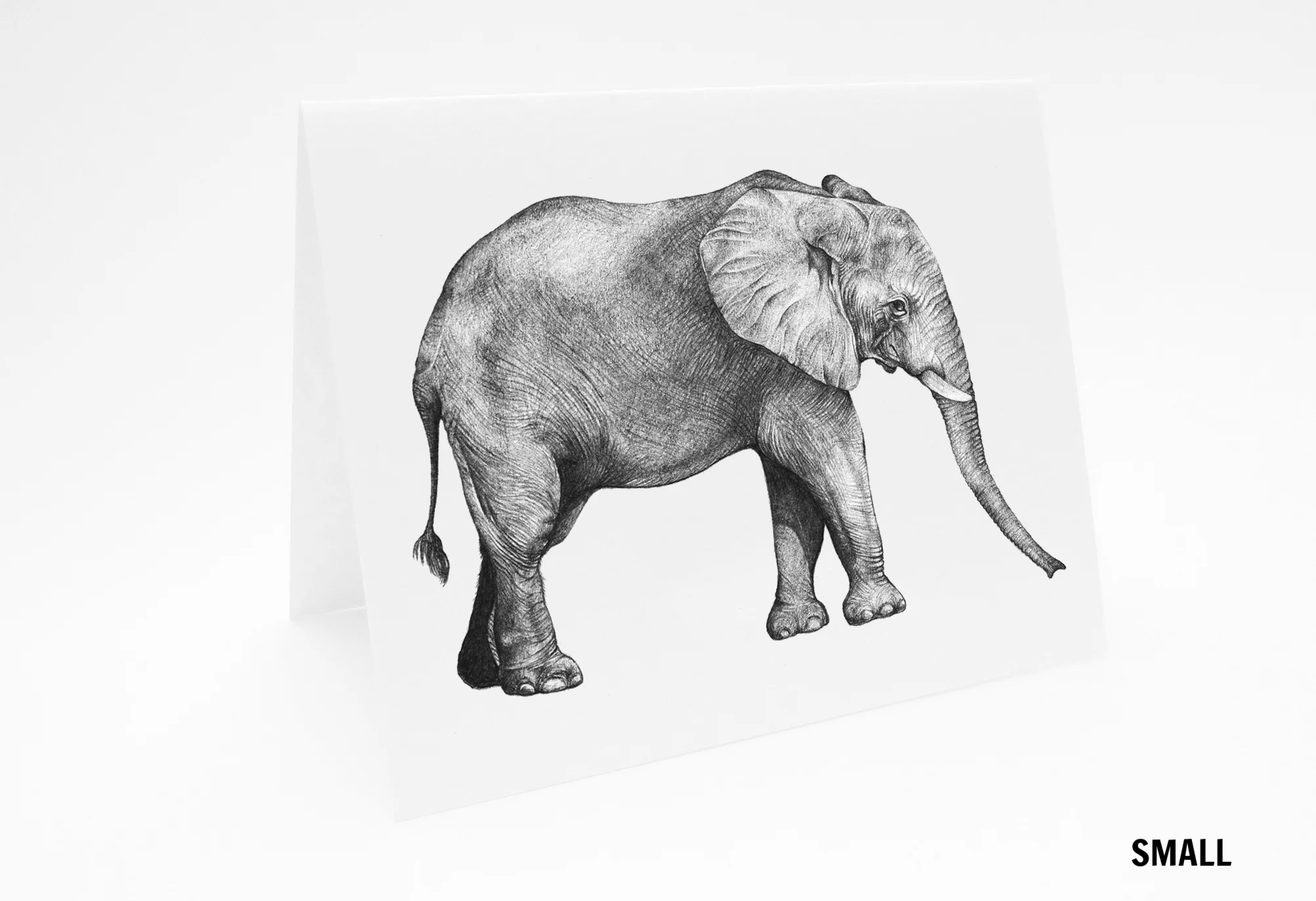 LaleGuralp_SM_L_Elephant_Card.jpg