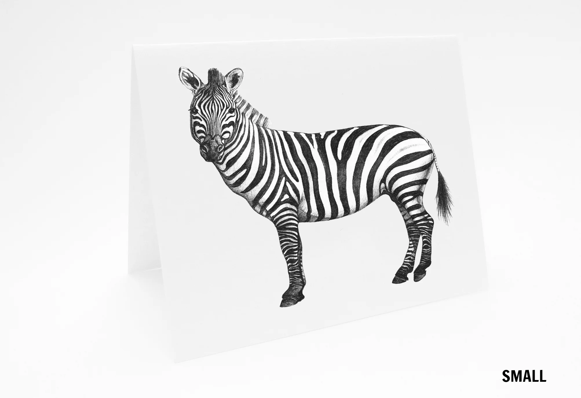 LaleGuralp_SM_L_Zebra_Card.jpg