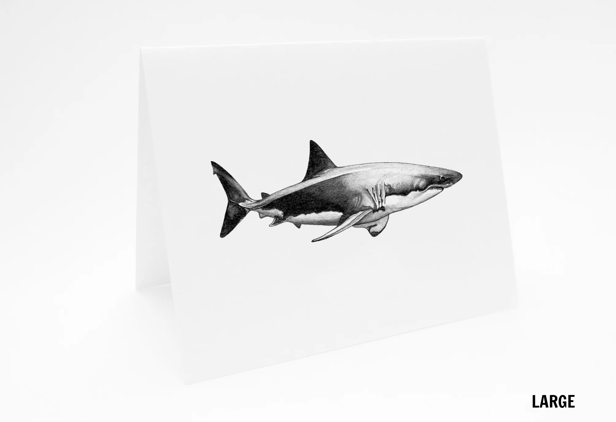 LG_AnimalCard_Shark_L.jpg