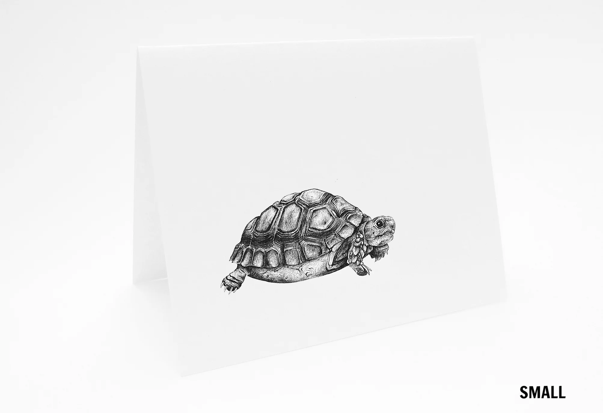 SM_AnimalCard_Tortoise_L.jpg