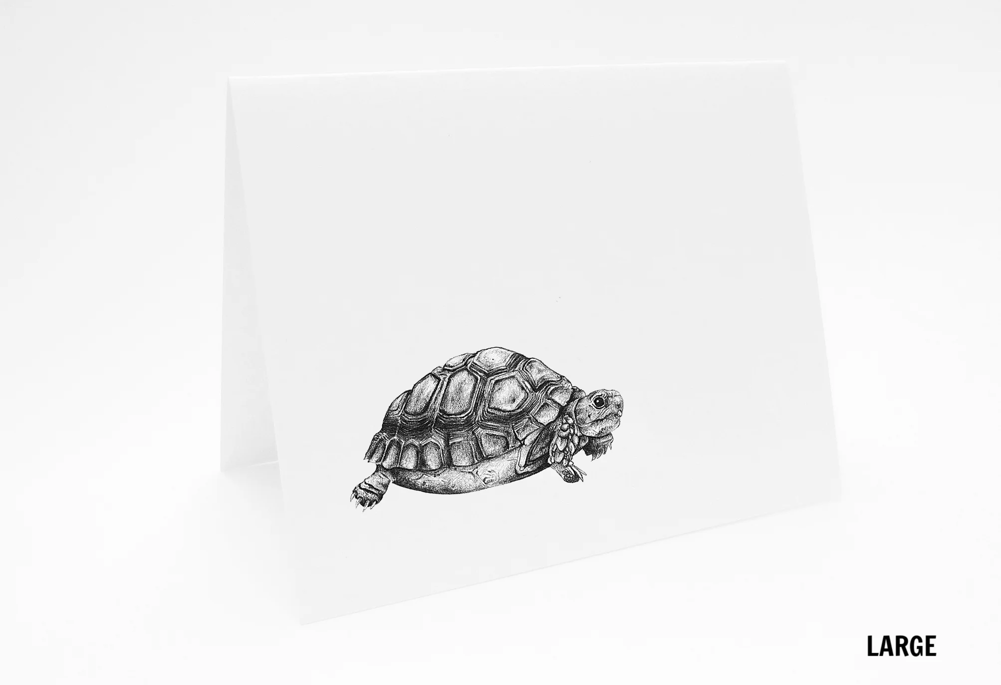LG_AnimalCard_Tortoise_L.jpg