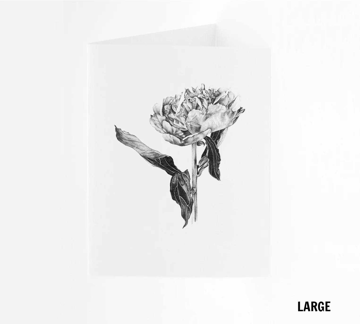 LG_Peony.jpg