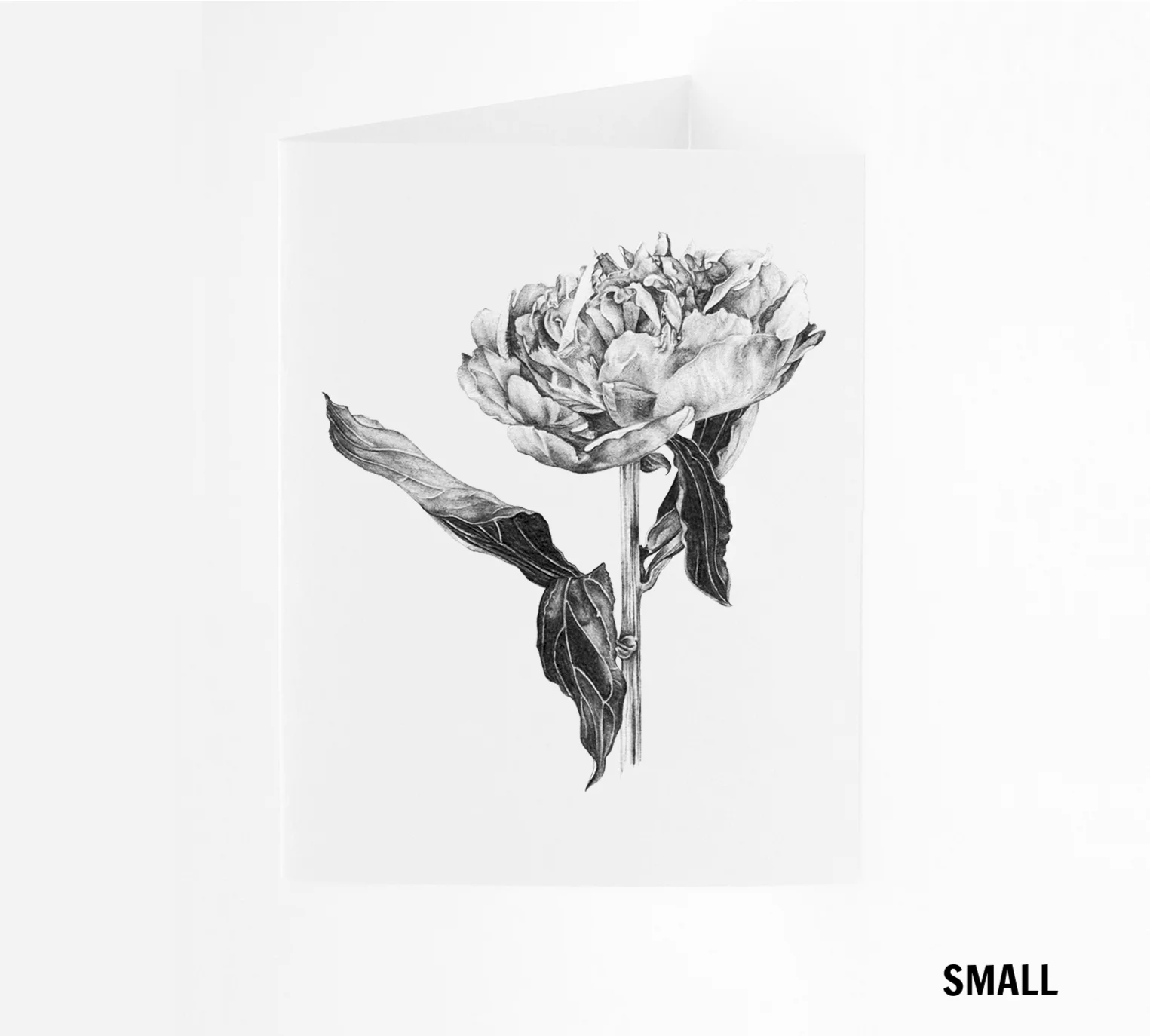 SM_Peony.jpg