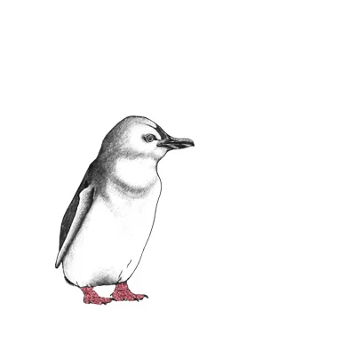 LaleGuralp_Penguin_GLITTER_.jpg