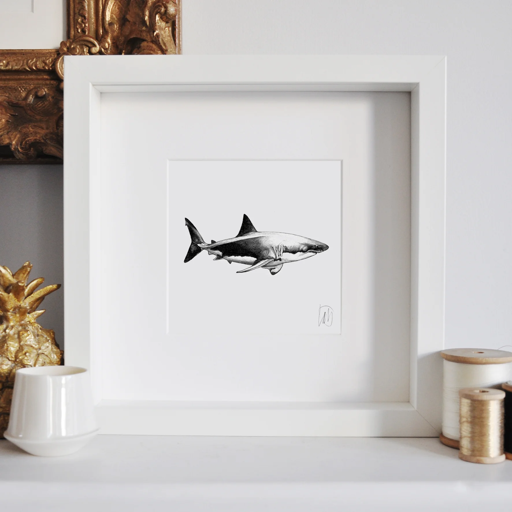 LaleGuralp_WF_Shark.jpg