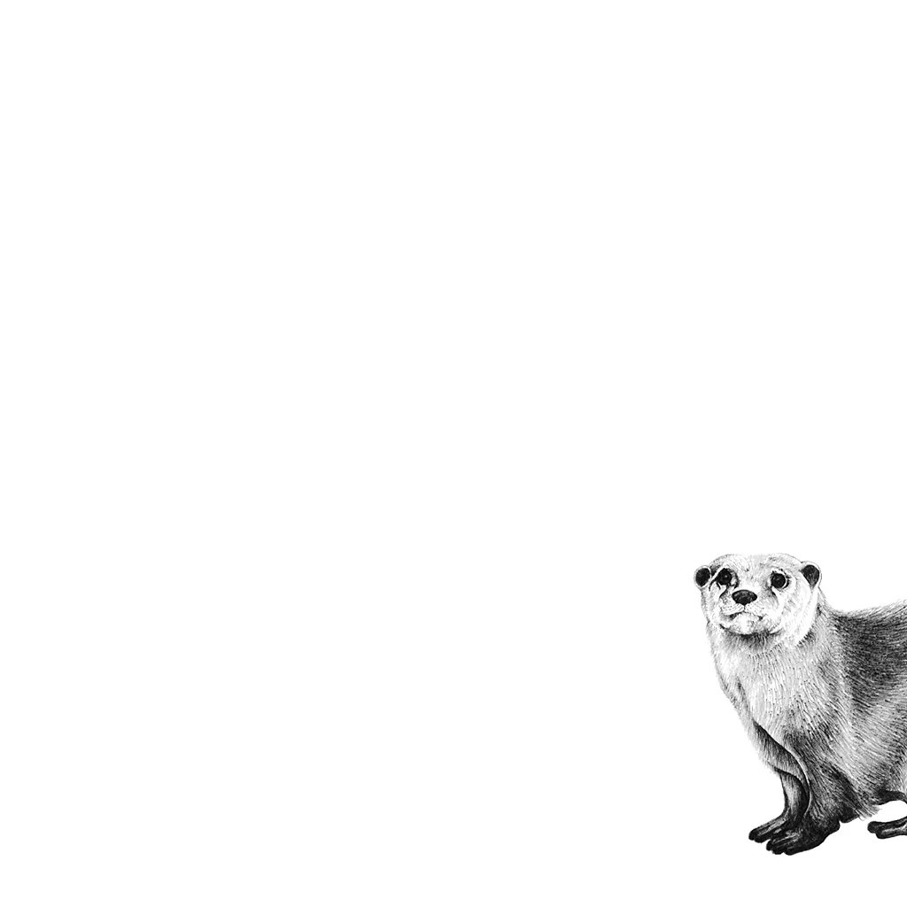 LaleGuralp_Otter.jpg
