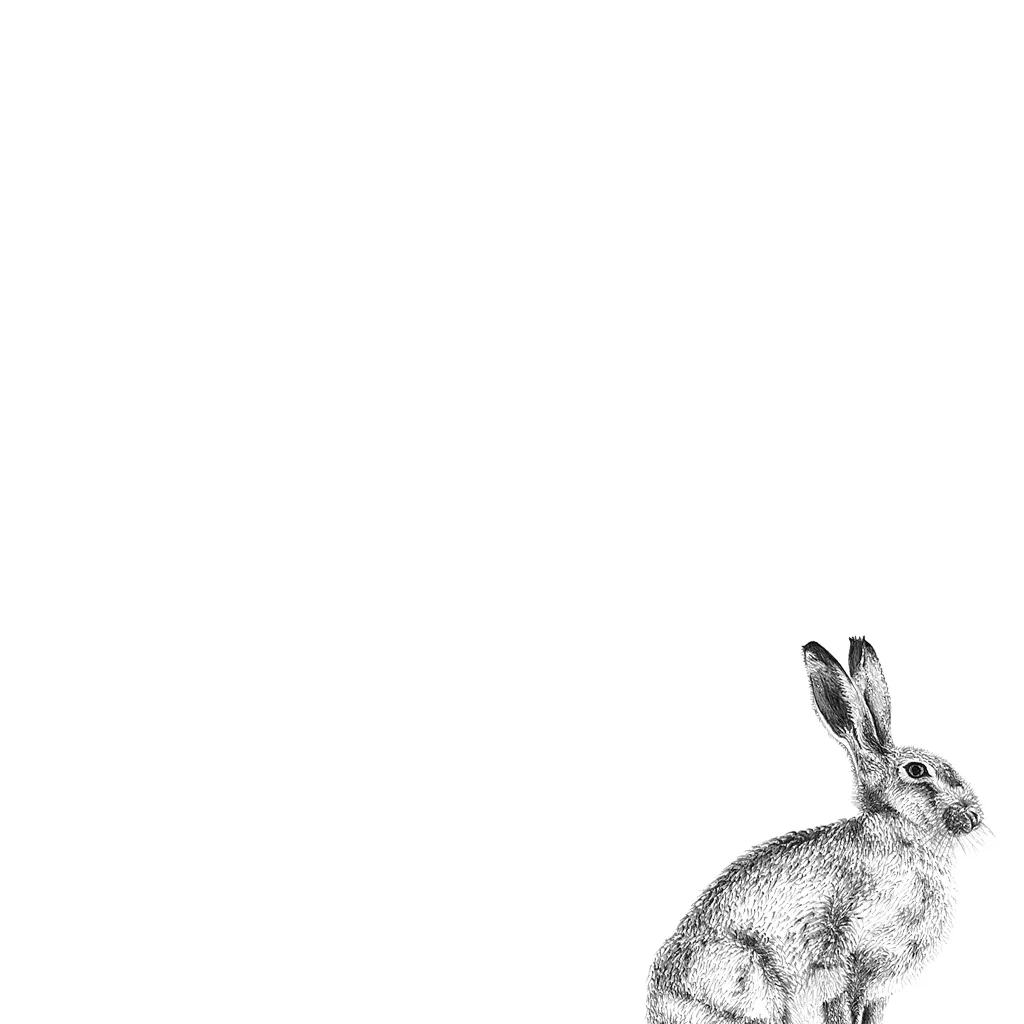 LaleGuralp_Hare.jpg