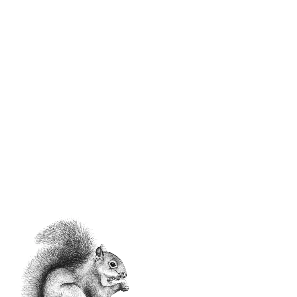 LaleGuralp_Squirrel.jpg