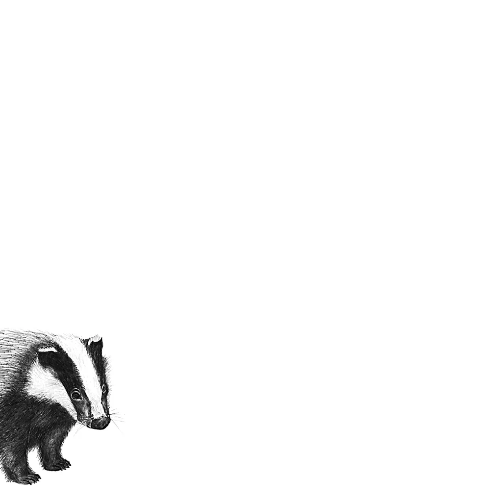 LaleGuralp_Badger.jpg