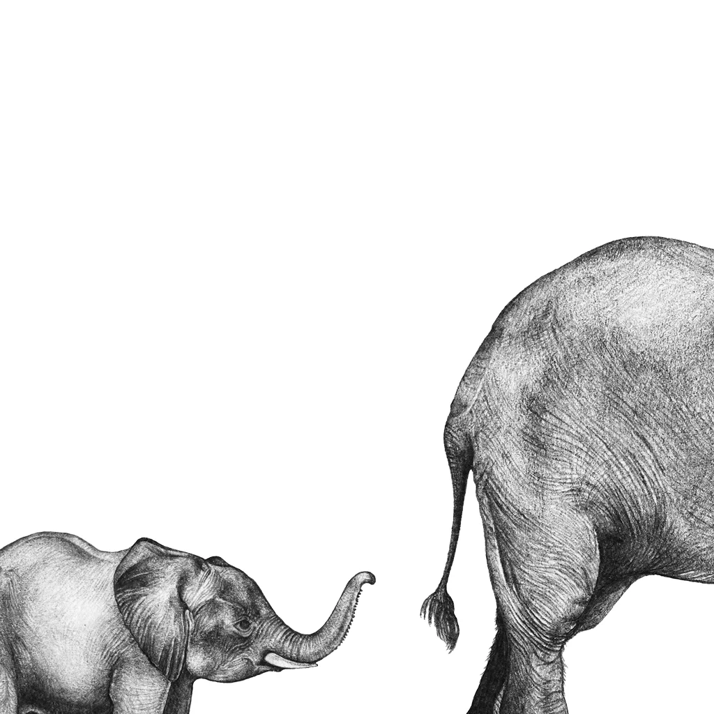 LaleGuralp_MummyandBabyElephant.jpg