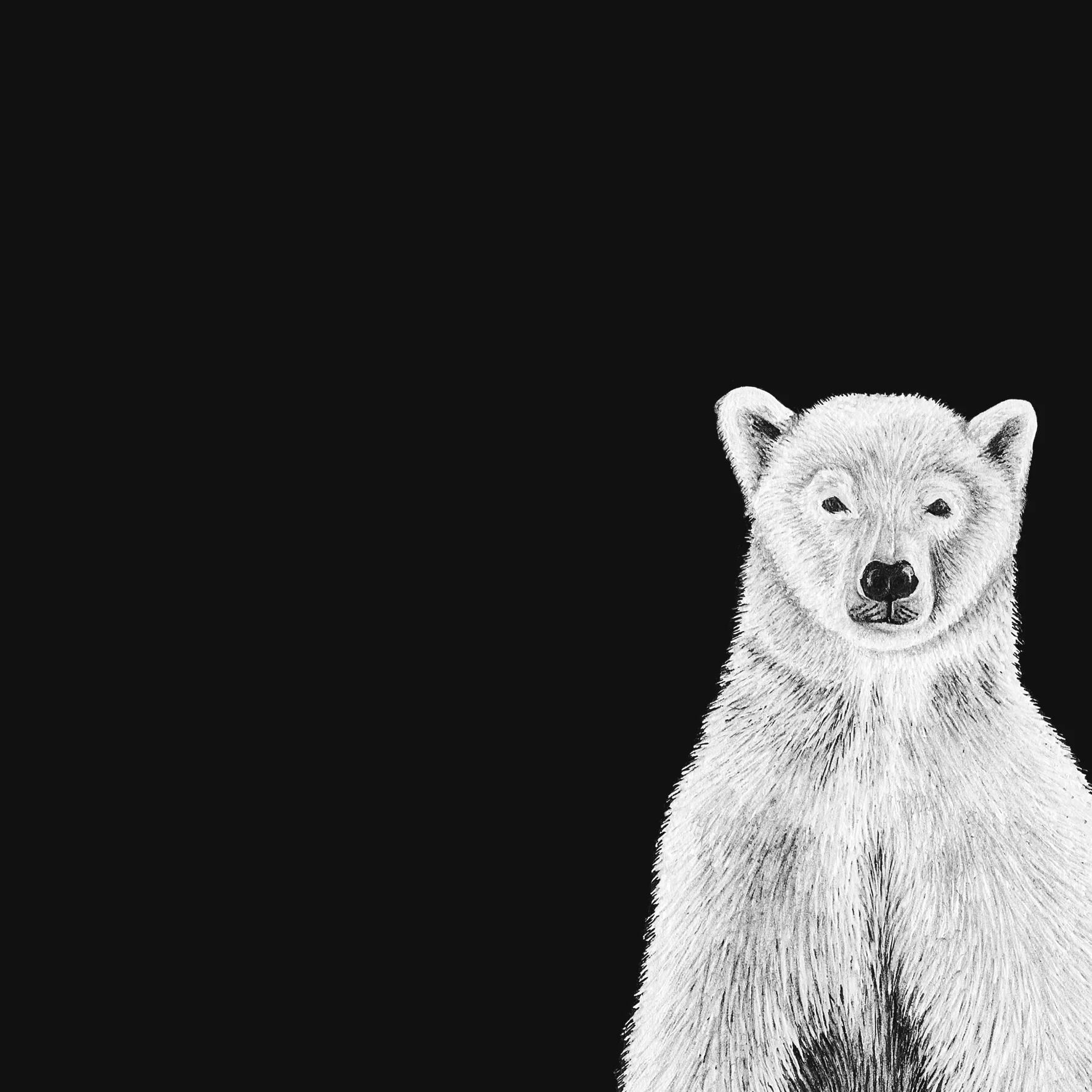 LaleGuralp_PolarBear.jpg