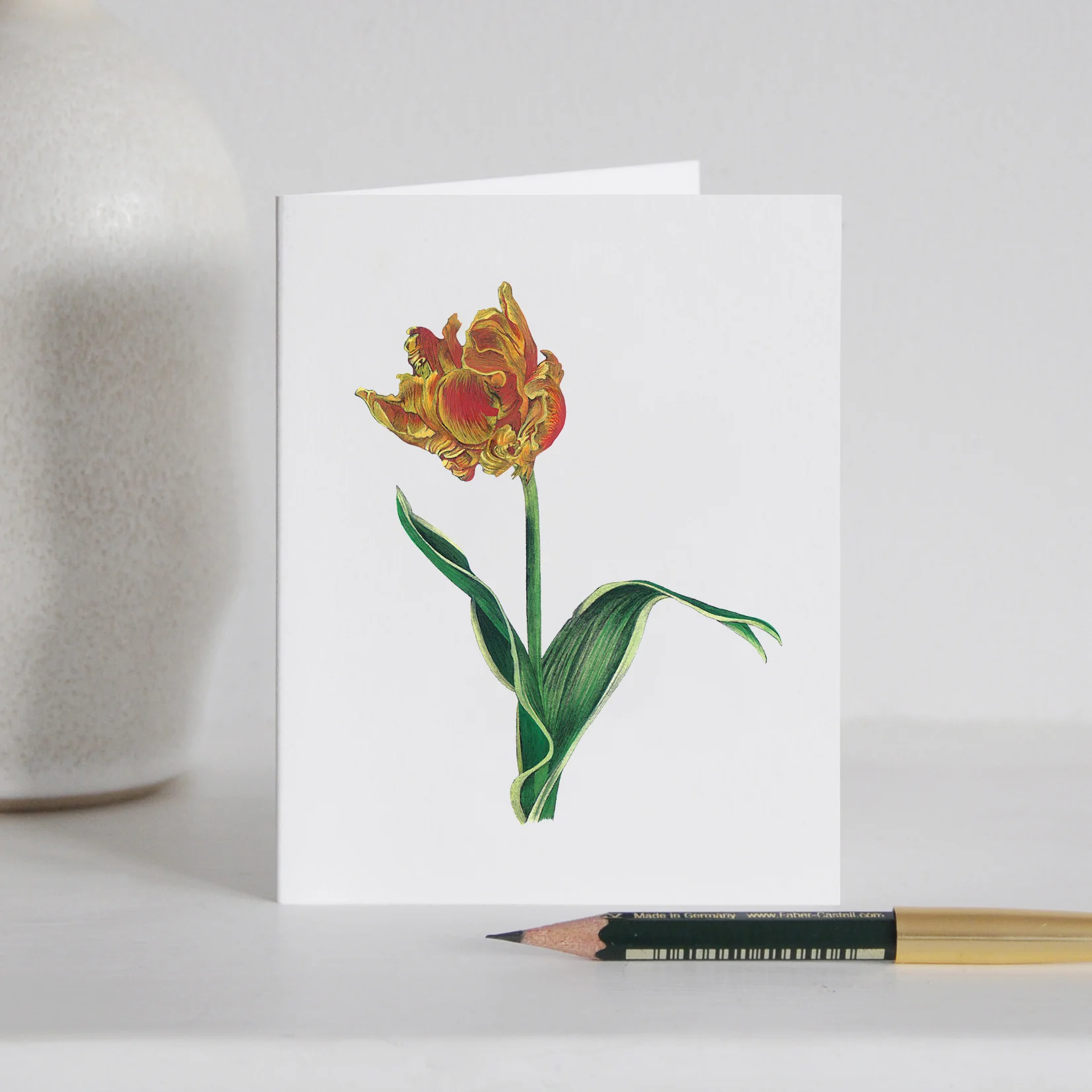 LaleGuralp_SM_P_ParotTulip.jpg