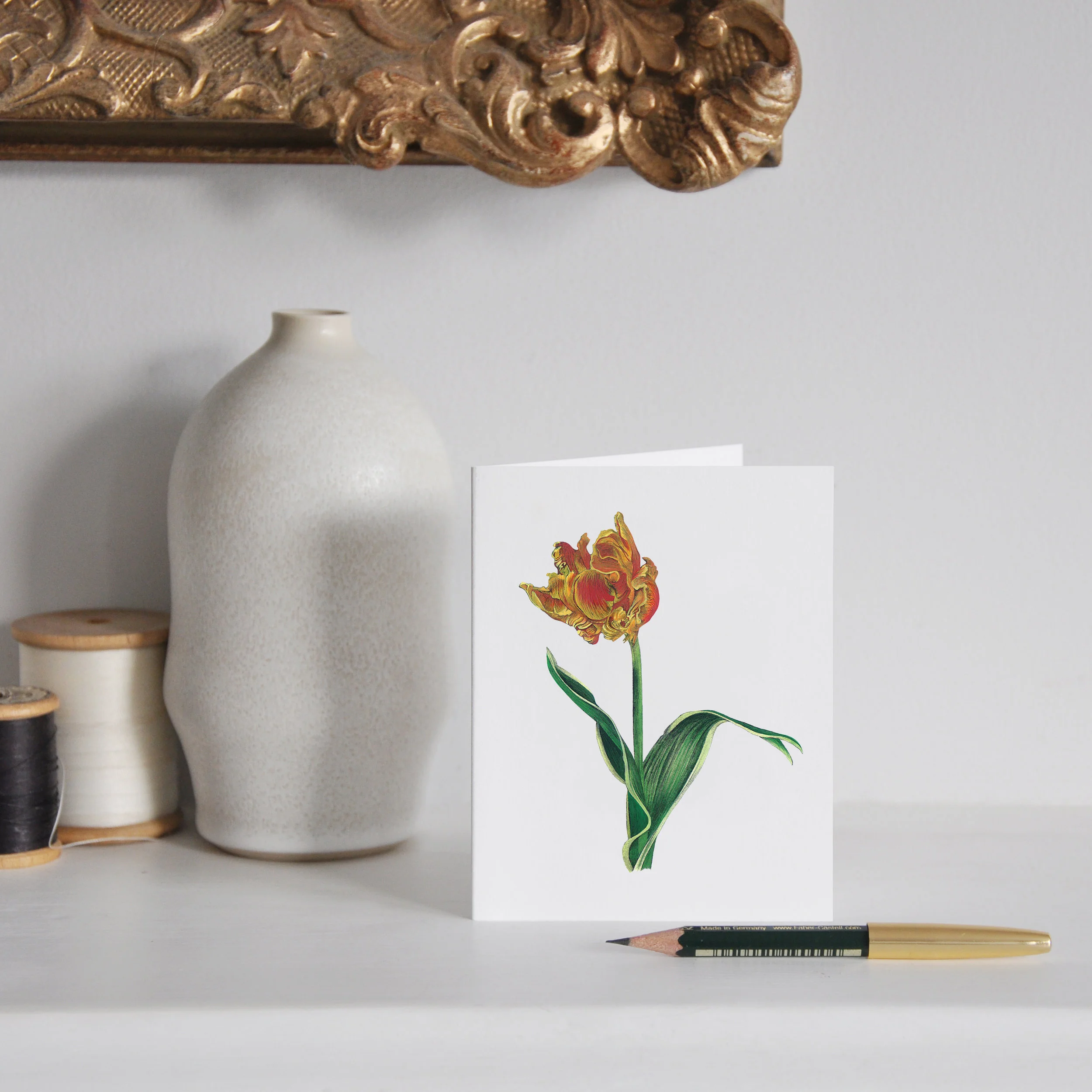 LaleGuralp_SM_P_ParotTulip2.jpg