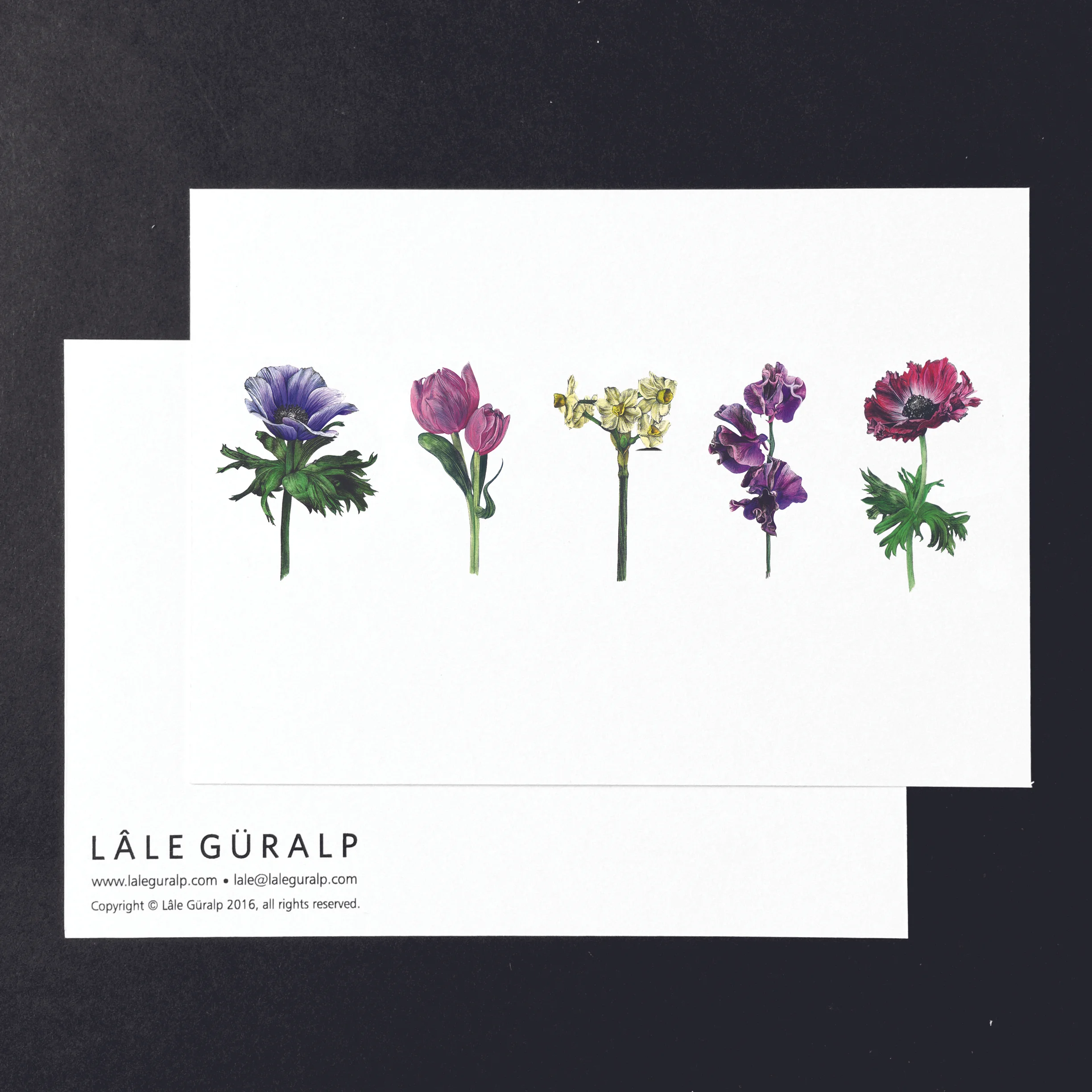 ColouredChelseaflowers_Postcard.jpg