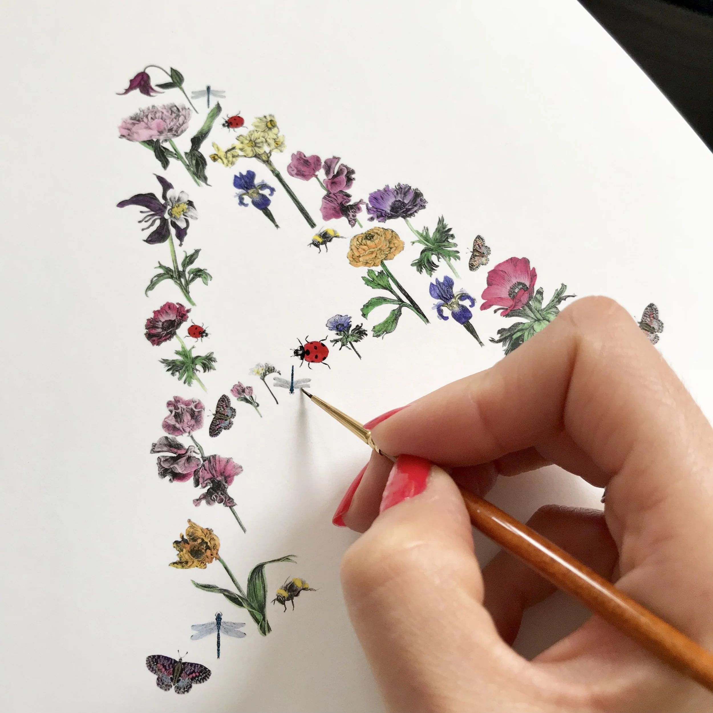 LaleGuralp_flowerinitial11.jpg