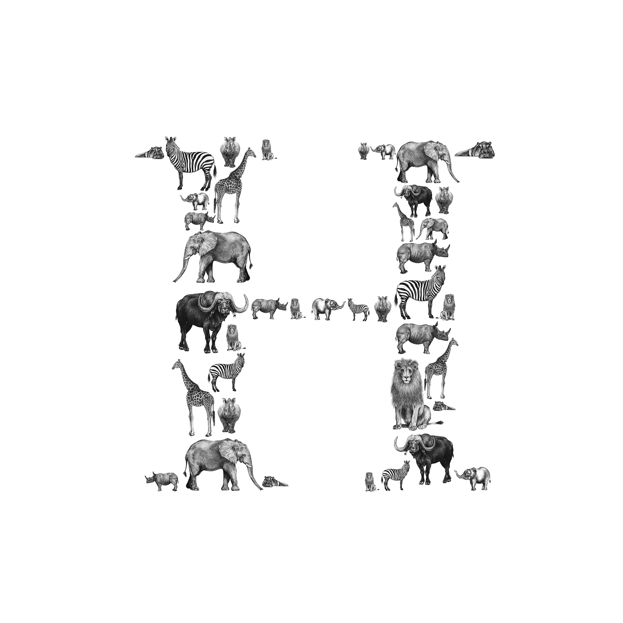 LaleGuralp_Safariinitial_H_.jpg