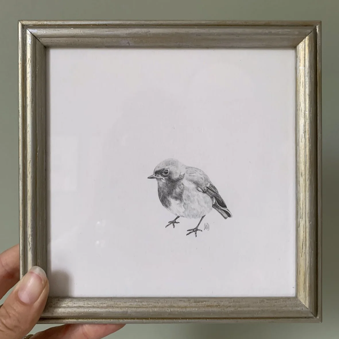 ORIGINAL ROBBIN DRAWING