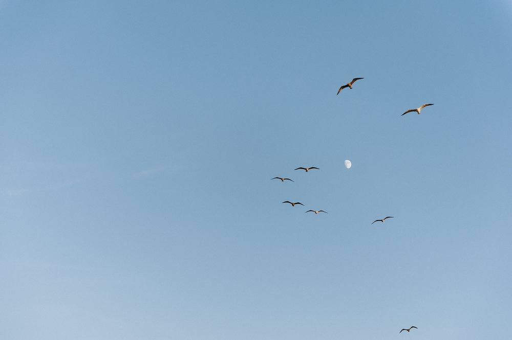 Copy of Cayucos Engagement Session - Lauren Rae Photography