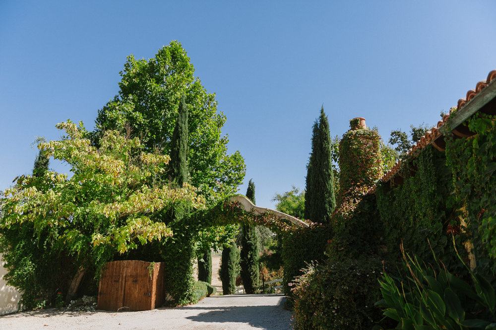 Intimate California Destination Wedding - Lauren Rae Photography