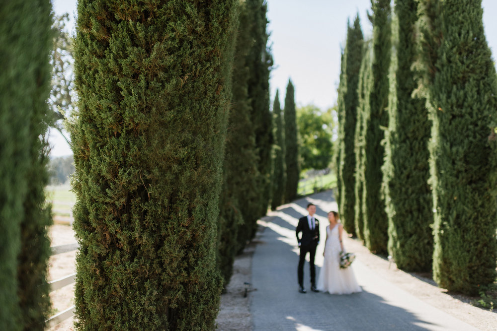 Intimate California Destination Wedding - Lauren Rae Photography