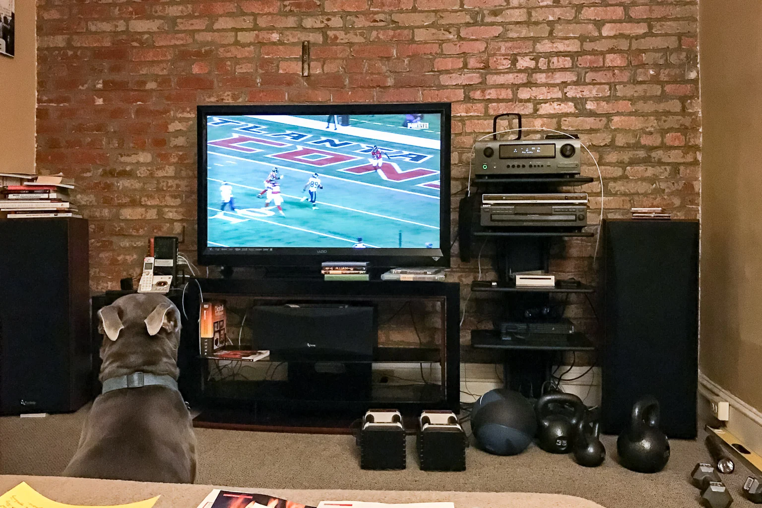 This image is from the playoff games on Saturday. The only thing that's changed since he's been here is that he sits where you see him now, which is dead center in front of the TV. This guy is hilarious. Wouldn't trade him for the world. Go to the shelter and adopt somebody. There are lots of kindred spirits in there just waiting for the chance to be your best friend.
