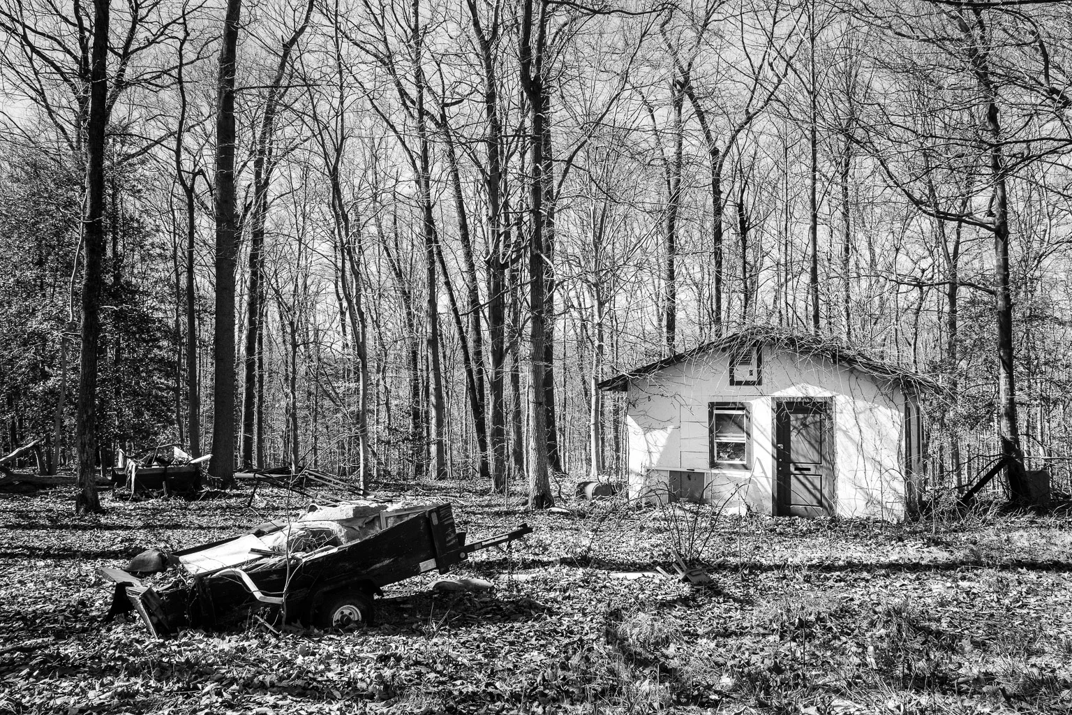 I wanted these images to stand on their own, without narration. But this little building is special and merits some text. This small building is the third and smallest structure on the property. I didn't get to go inside to view or measure, but it's roughly 14 feet by 15 feet on the inside, maybe a little less. But big things sometimes come in small packages. This little building is a big house of knowledge. All four walls hold bookshelves from floor to ceiling. There are more books in this little building than there are in most people's houses.