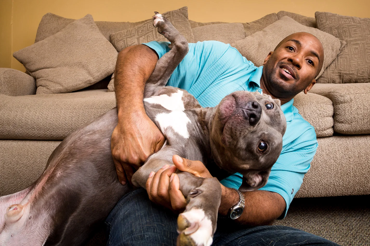 We don't condone dog fighting. But dog wrestling...now that's another thing entirely!