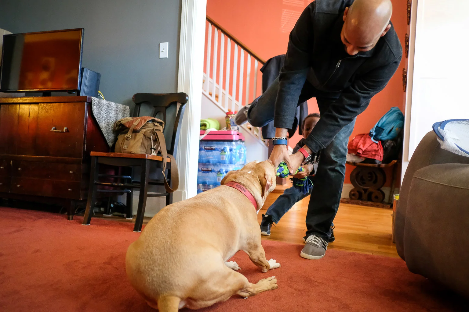 The dog got serious and decided to teach a lesson on leverage. Dad almost got posterized here.