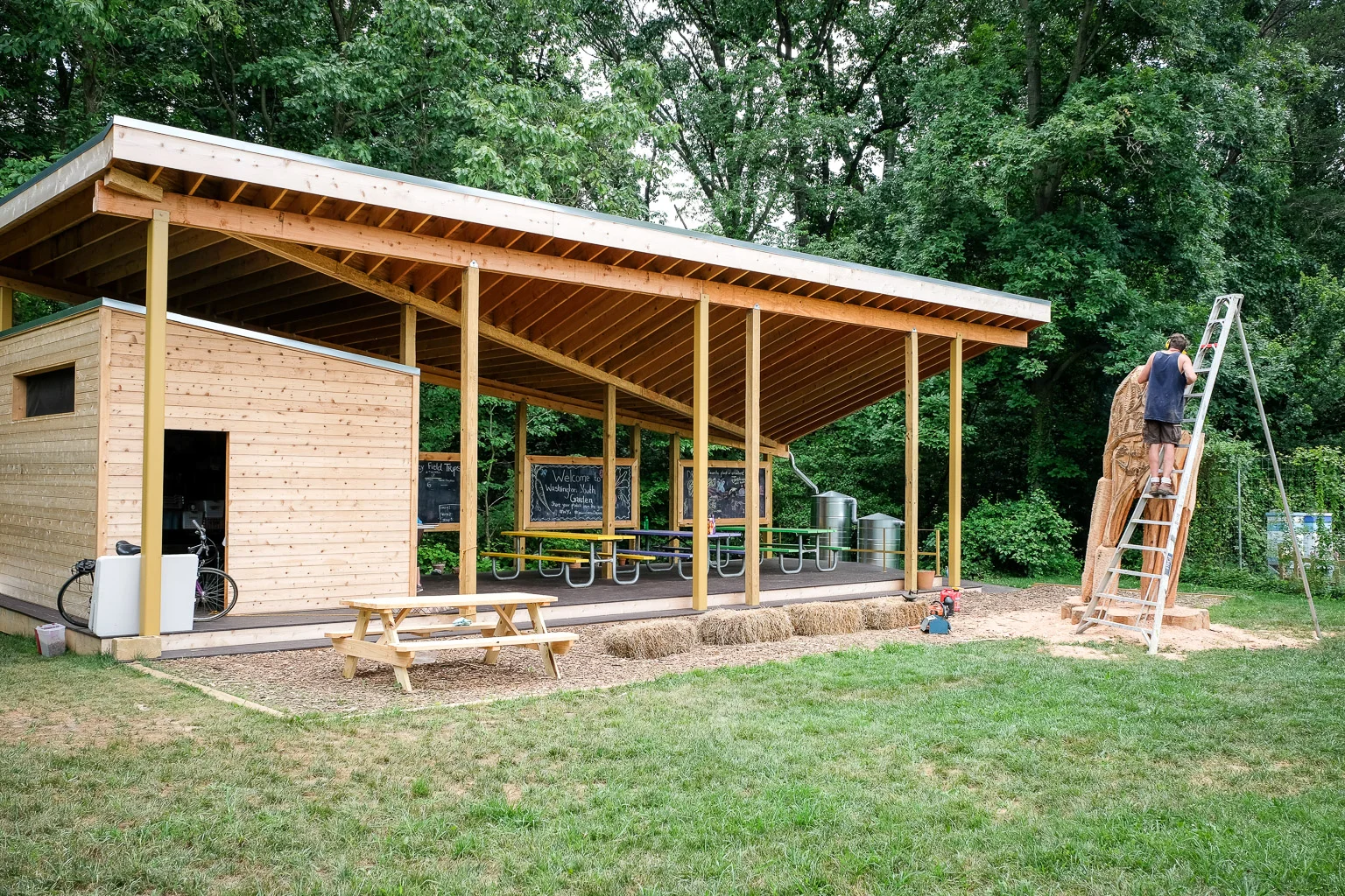 Glenn was commissioned to turn a tree that had to be cut down to make room for the new pavilion into an art piece.