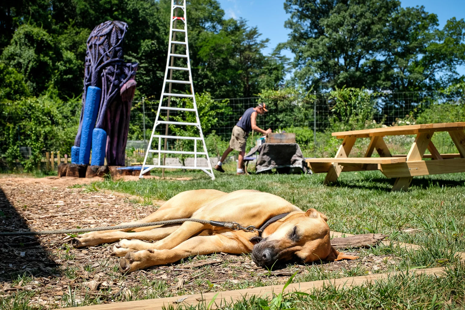 As you can see, Gus is no office nerd. He likes to split his time between being in the office and being out in the field.