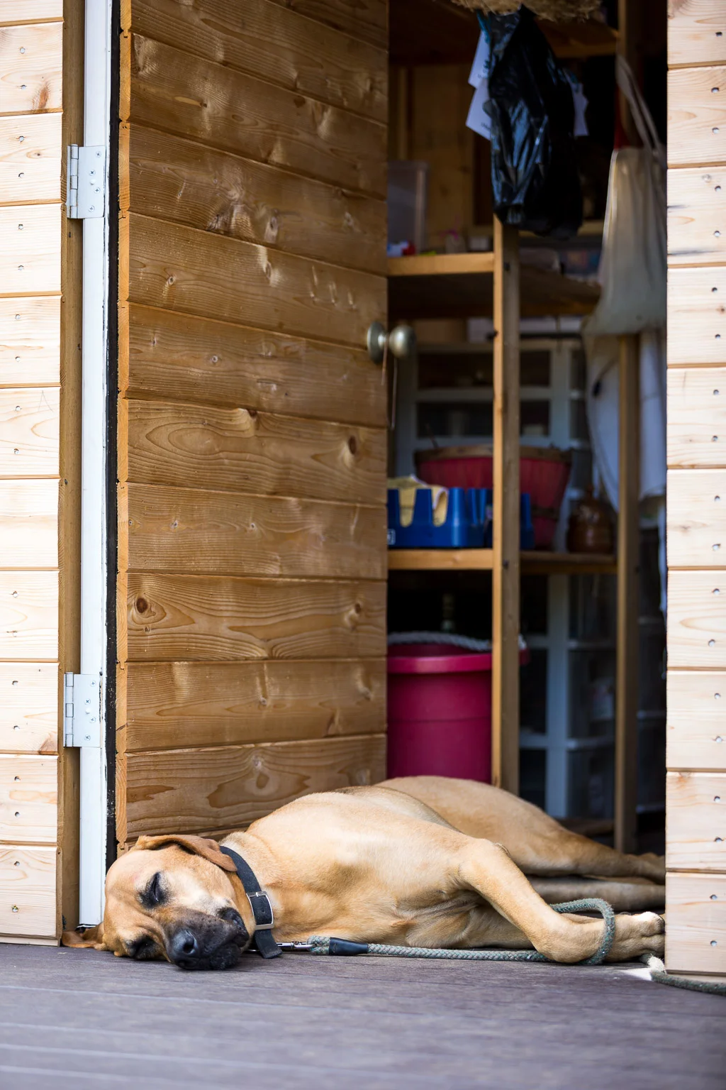 This is called a power nap. Don't judge. Workplace performance experts around the world tout the physical and cognitive benefits of a power nap during the workday.