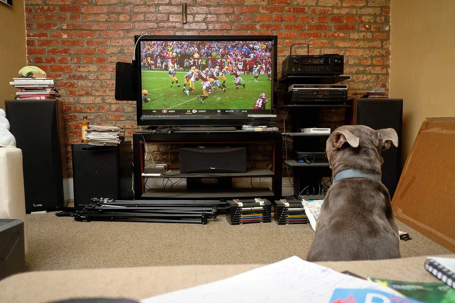 Russell_Watching_TV_2018-09-23-009.jpg
