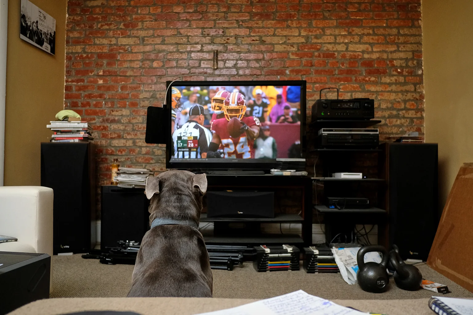 Russell_Watching_TV_2018-09-23-027.jpg