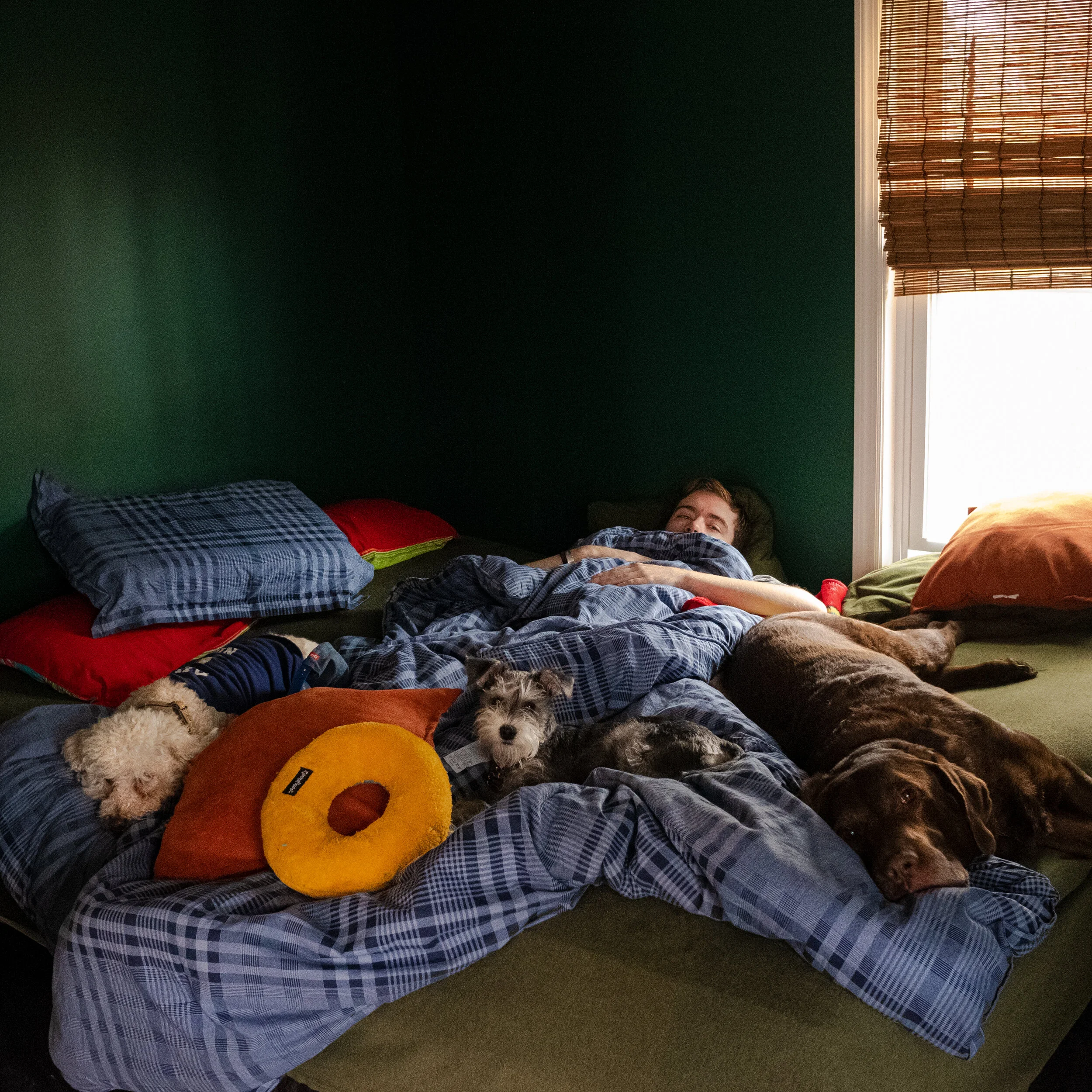 baeinbed.jpg