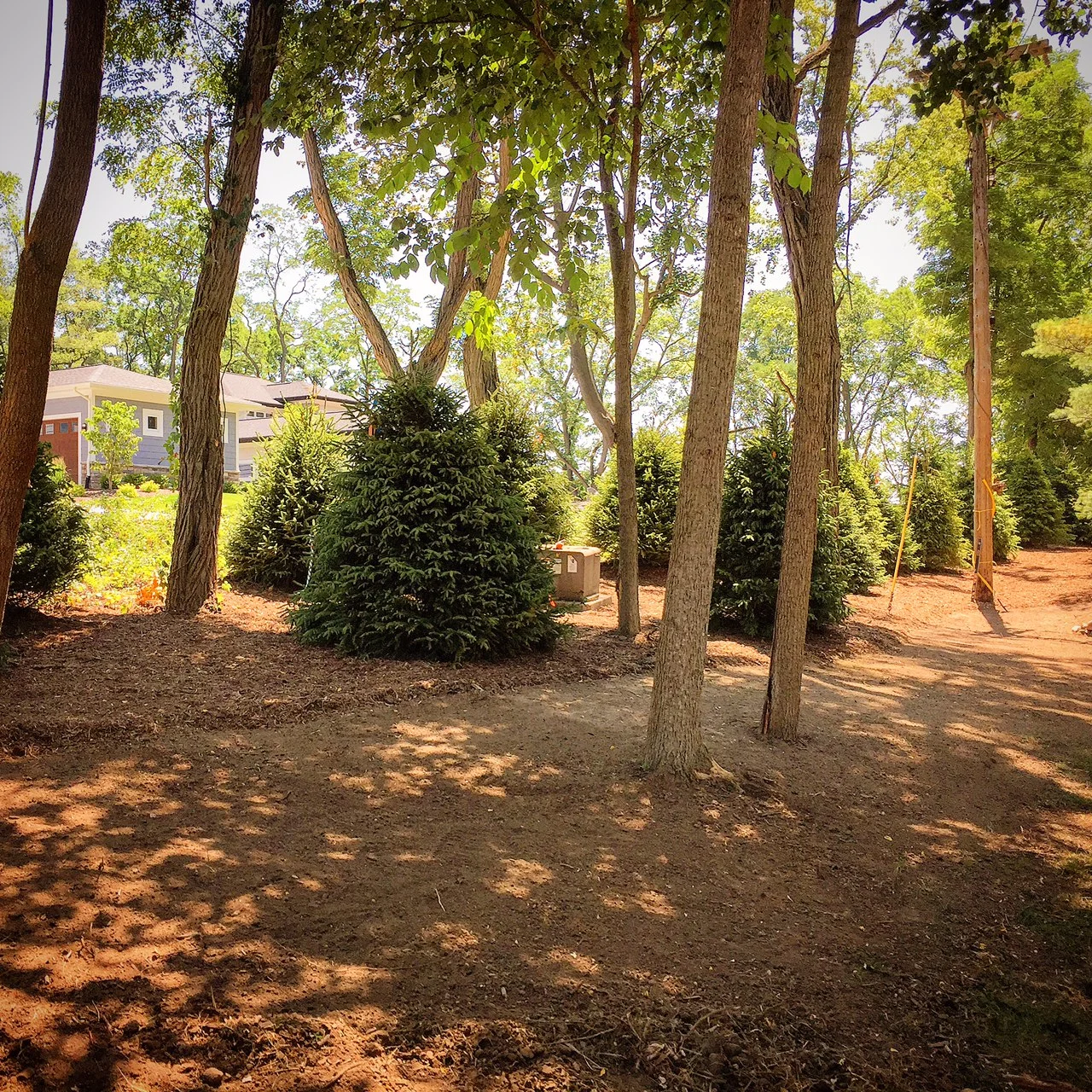 Mulch Delivery Near Ann Arbor, Michigan