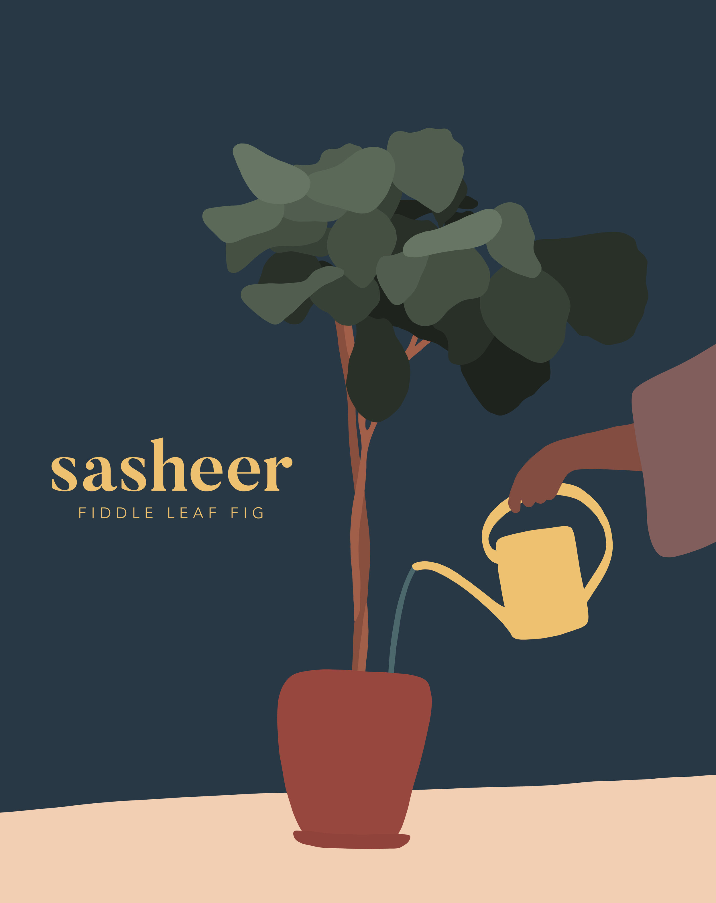 sasheer-01.jpg