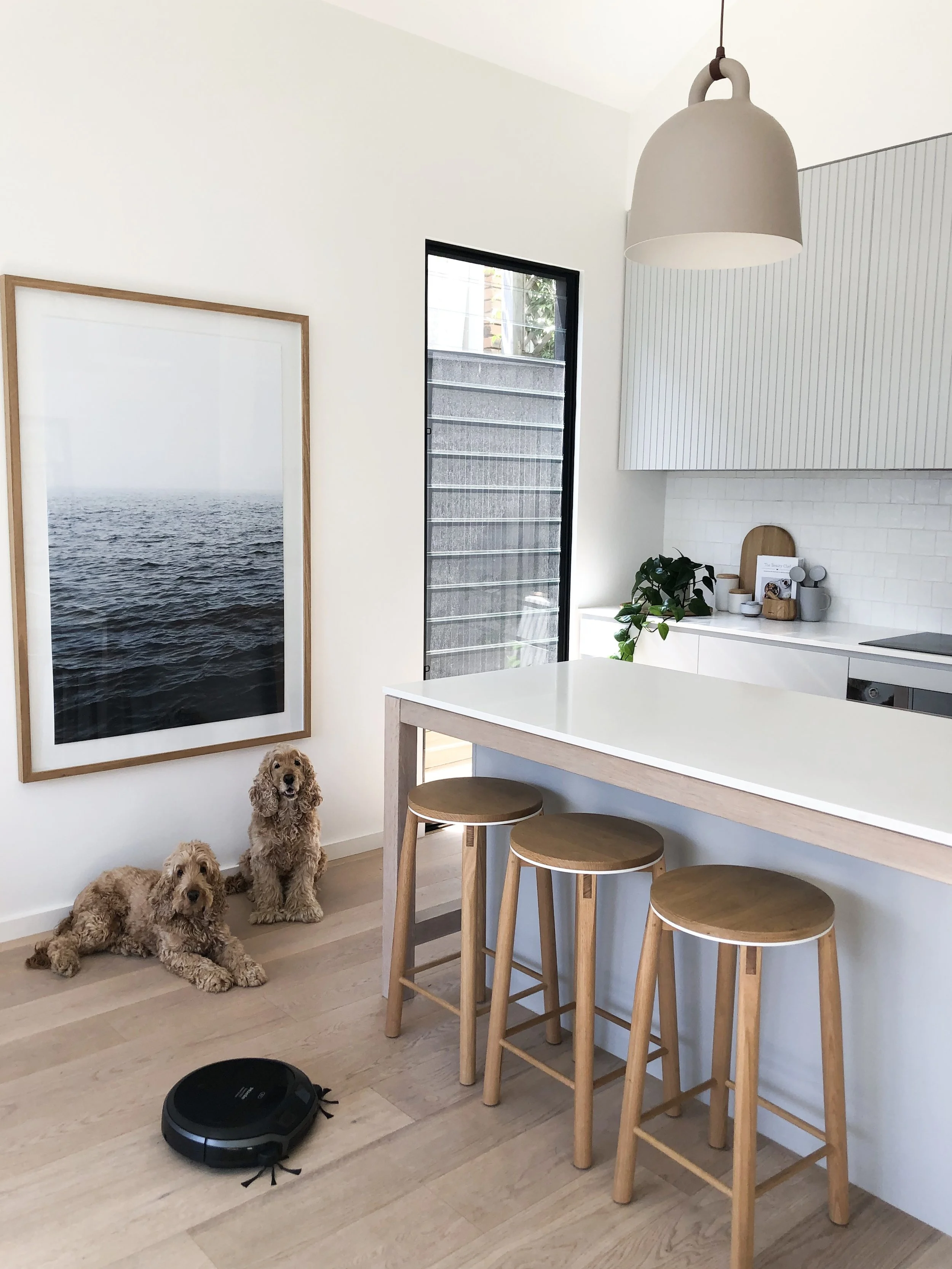 My Latest Obsession!