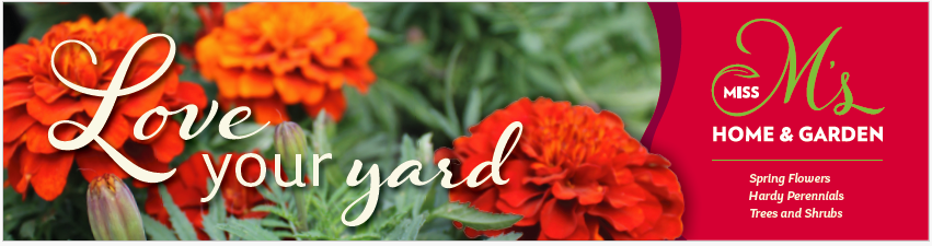 Screen Shot 2026-03-24 at 3.38.51 PM.png