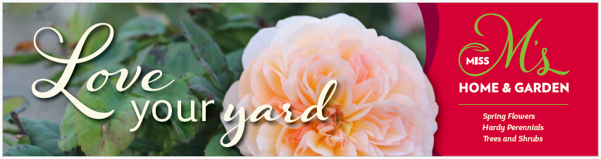 Screen Shot 2026-03-24 at 3.39.05 PM.png