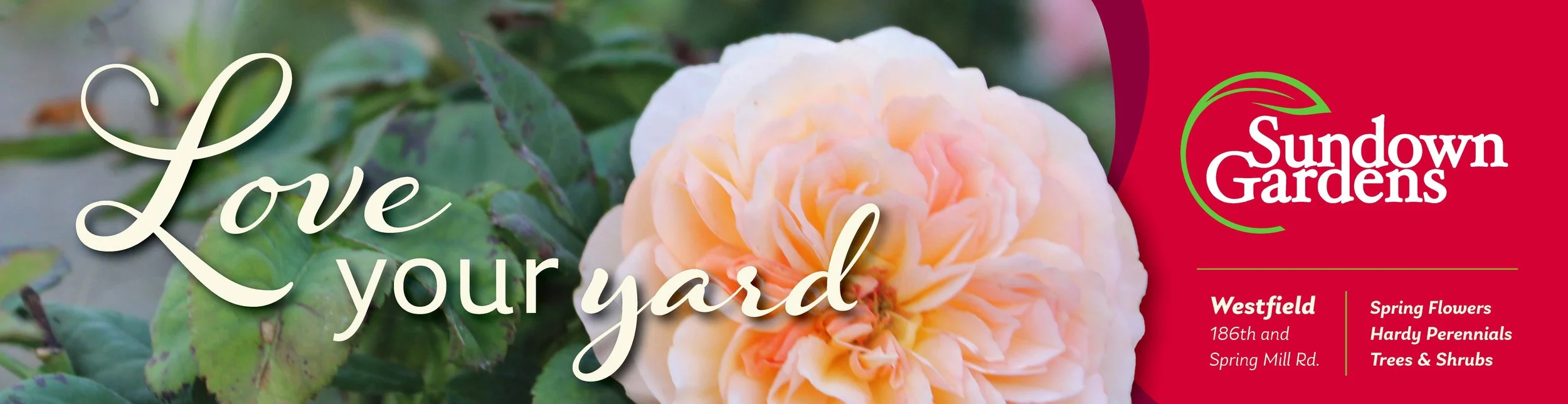 SundownGardens_970x250_FINAL_Page_2.jpg