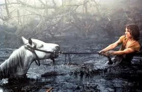 never let the sadness of the swamp overtake you