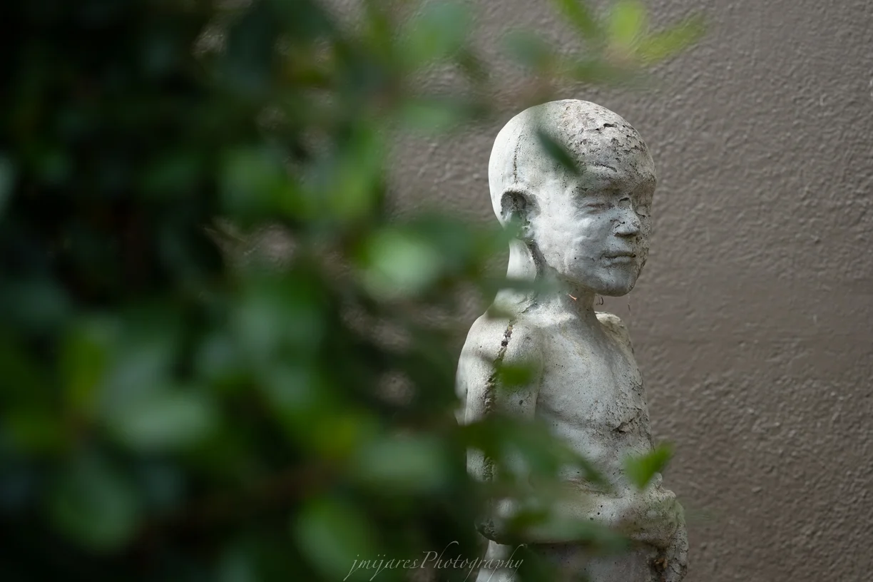 ISO 200 60mm f/2.4 lens f/2.4 1/1500sec