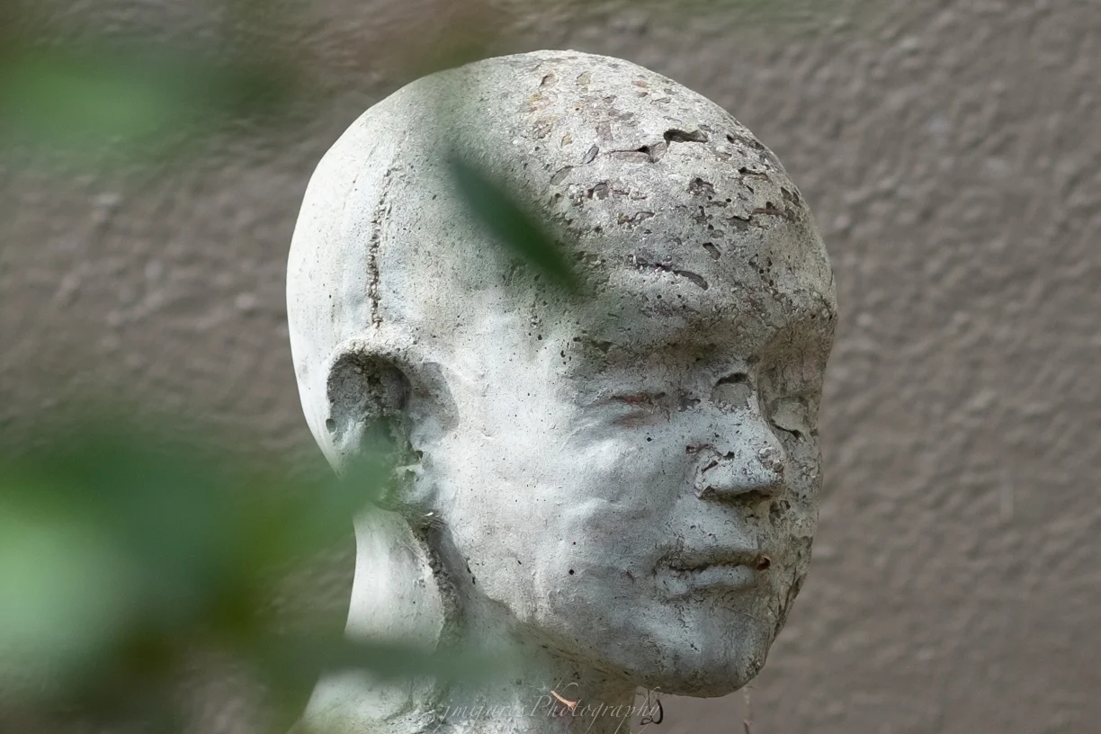 ISO 200 60mm f/2.4 lens f/2.4 1/1500sec