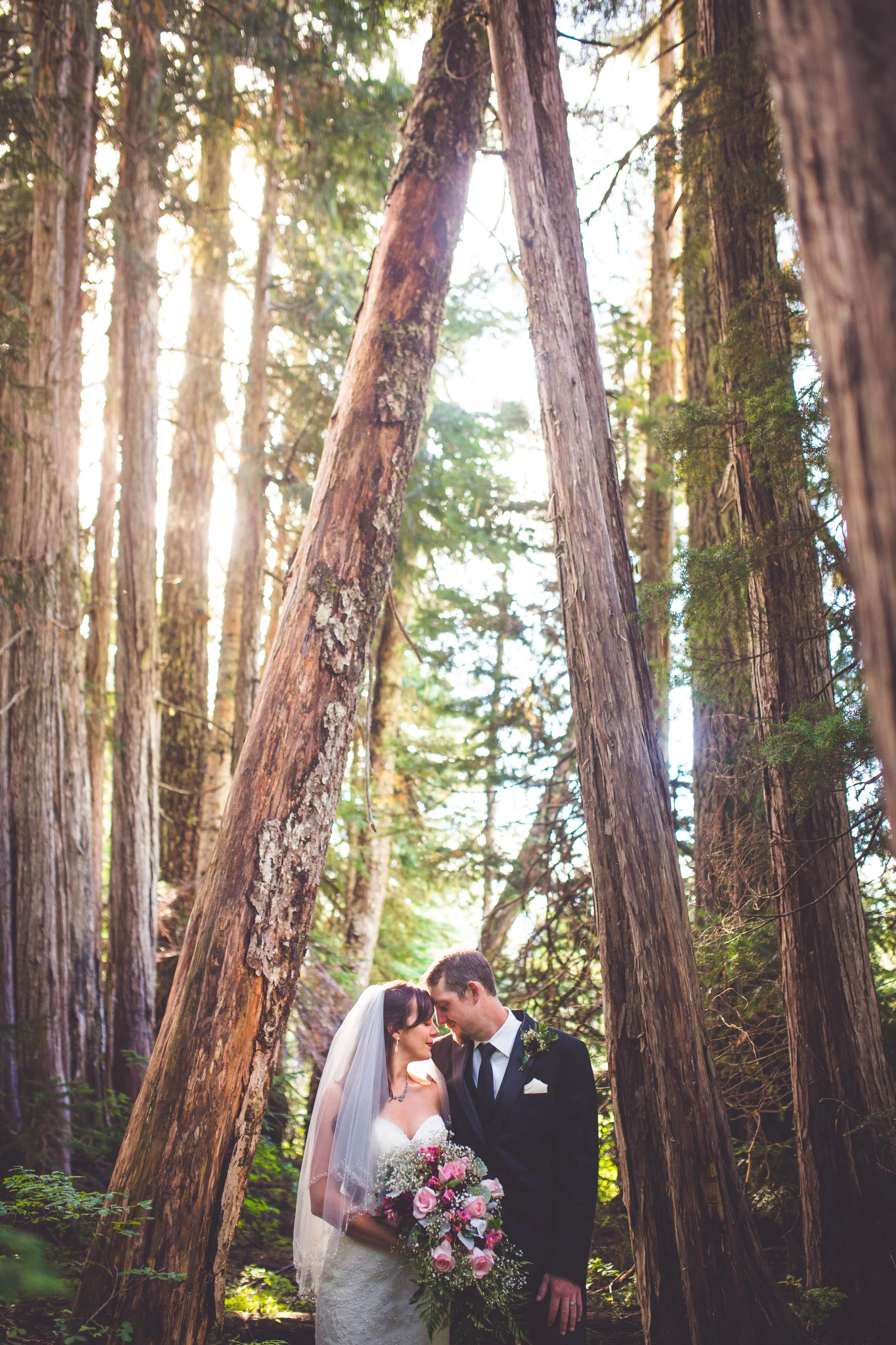 romantic portrait of bride and groom in forest at mount washington