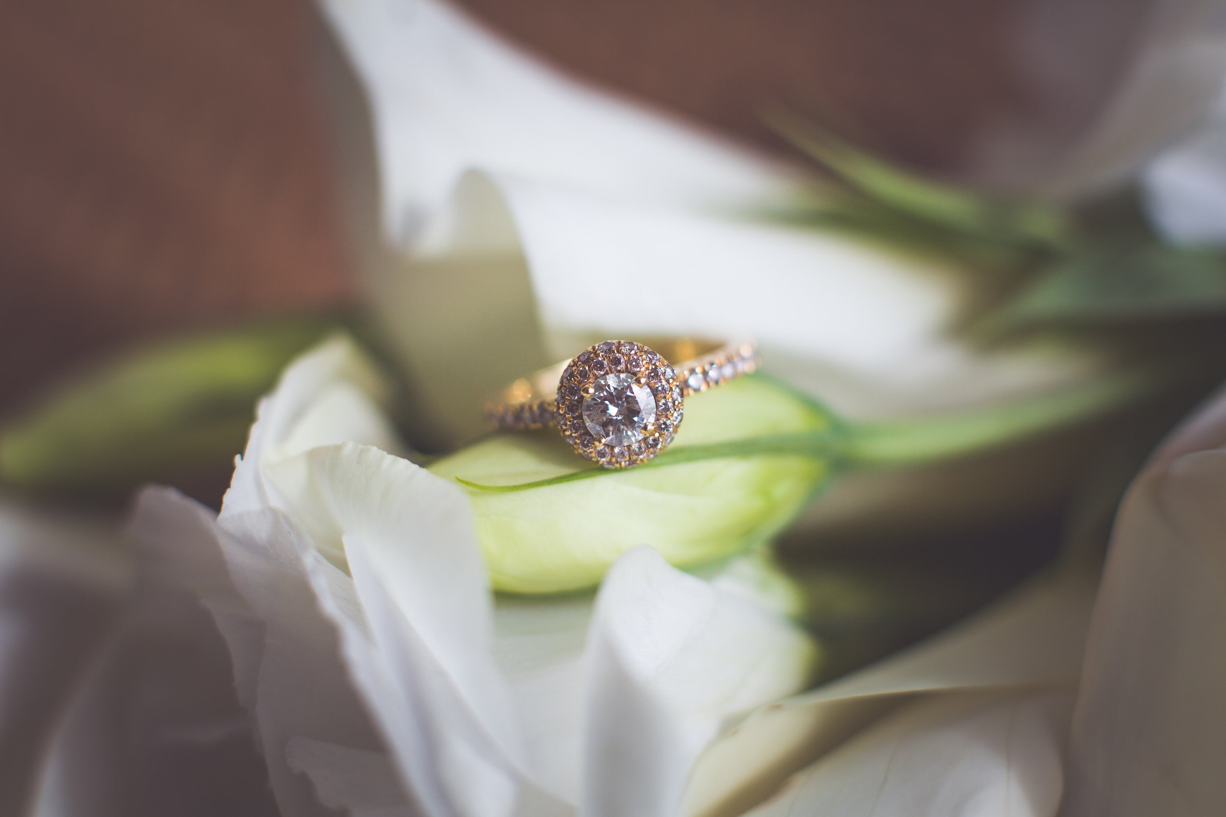 CARMEN-PETER-WEDDING-2016-25.jpg