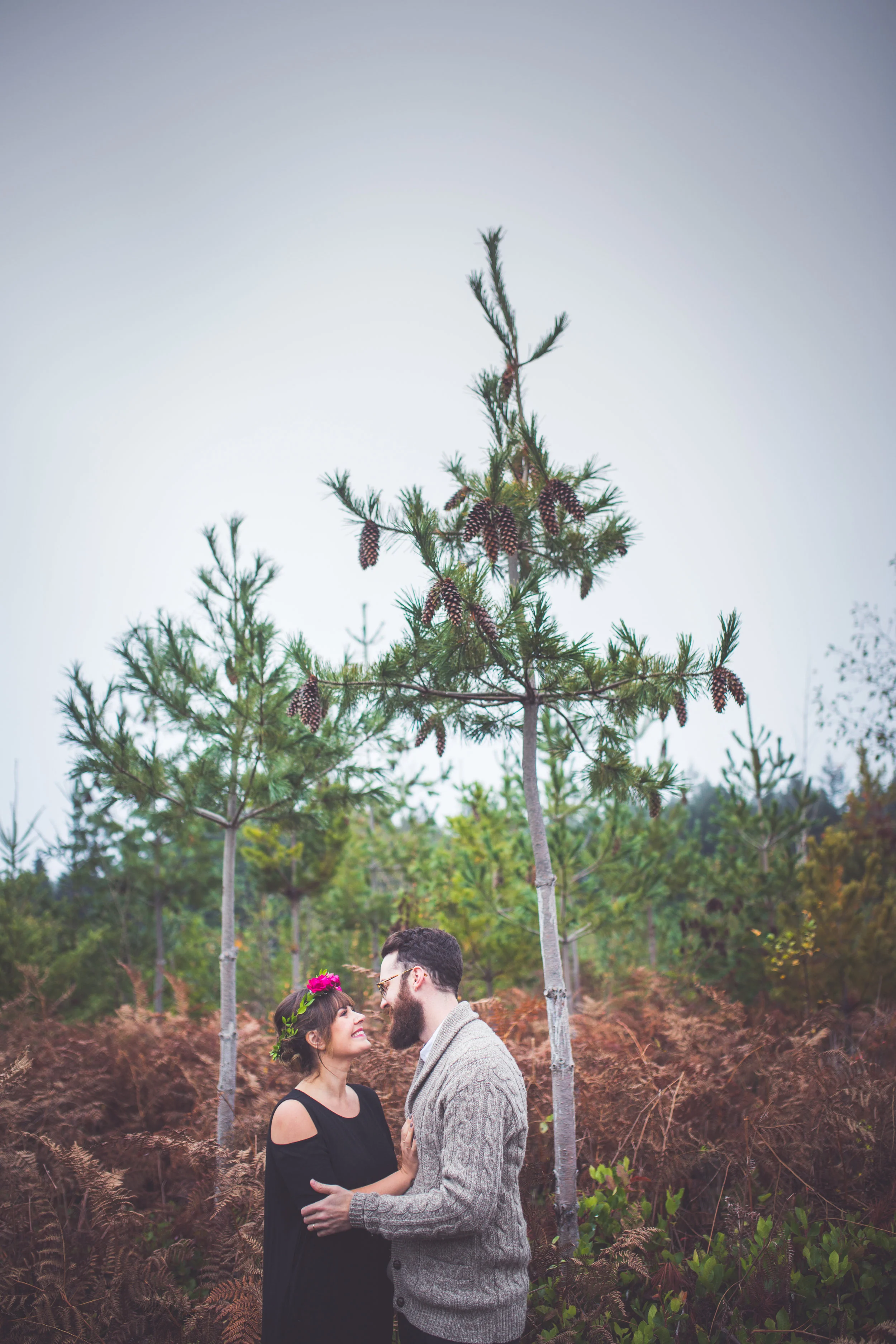 romantic parksville bc engagement photographers